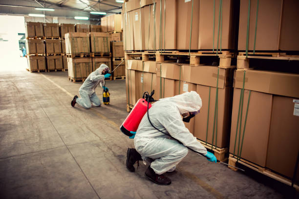 Best Termite Control Services  in Lakeside, OR