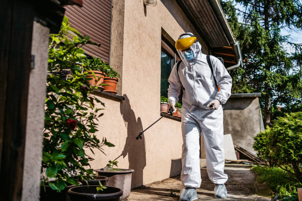 Best Pest Control Near Me  in Lakeside, OR