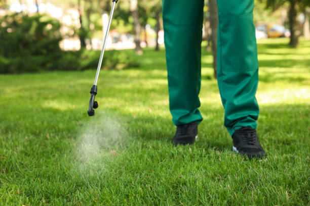 Best Emergency Pest Control  in Lakeside, OR