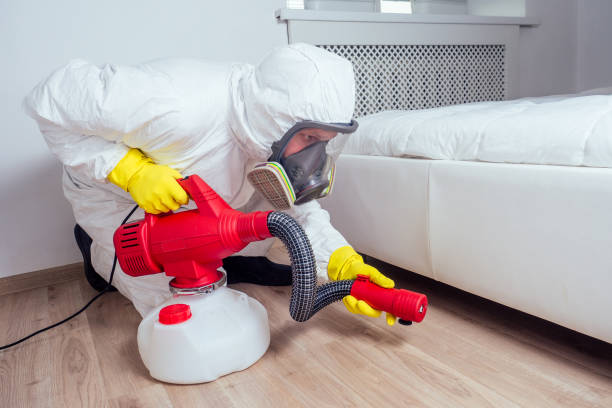 Best Local Pest Control Services  in Lakeside, OR