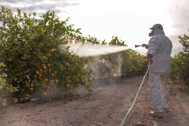 Best Affordable Pest Control Services  in Lakeside, OR