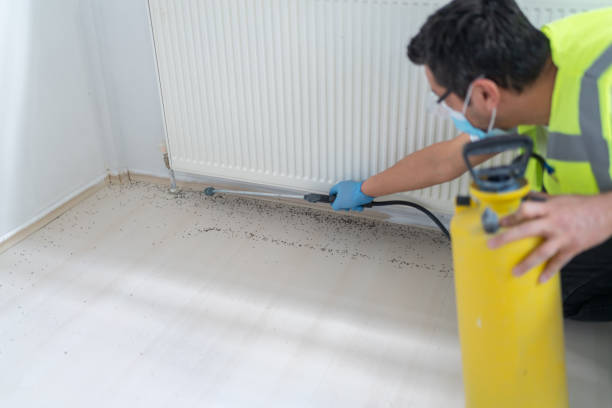 Best Best Pest Control Companies  in Lakeside, OR